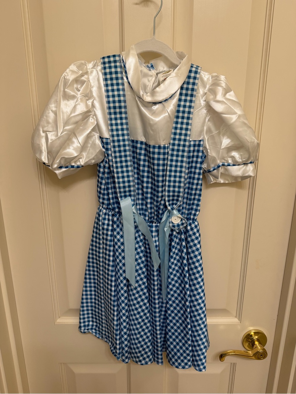 Rubie's Blue Gingham Dress Costume with White Puff Sleeves